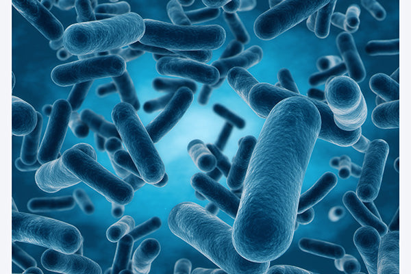 Antibiotics