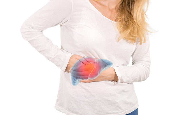 Liver