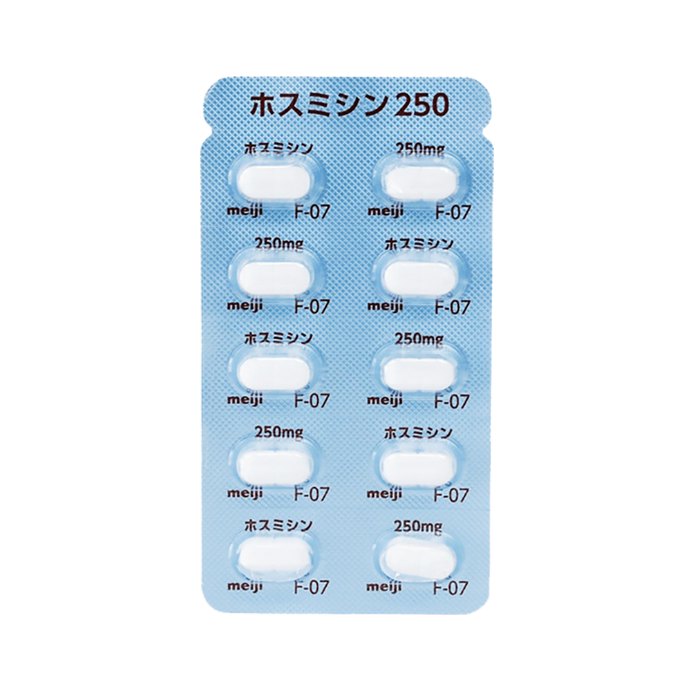 FOSMICIN TABLETS 250 [Brand Name]